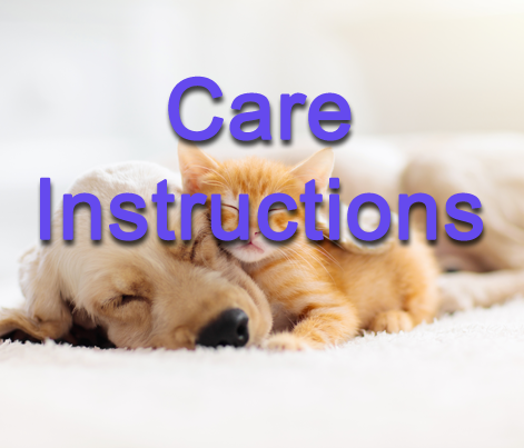 Care Instructions